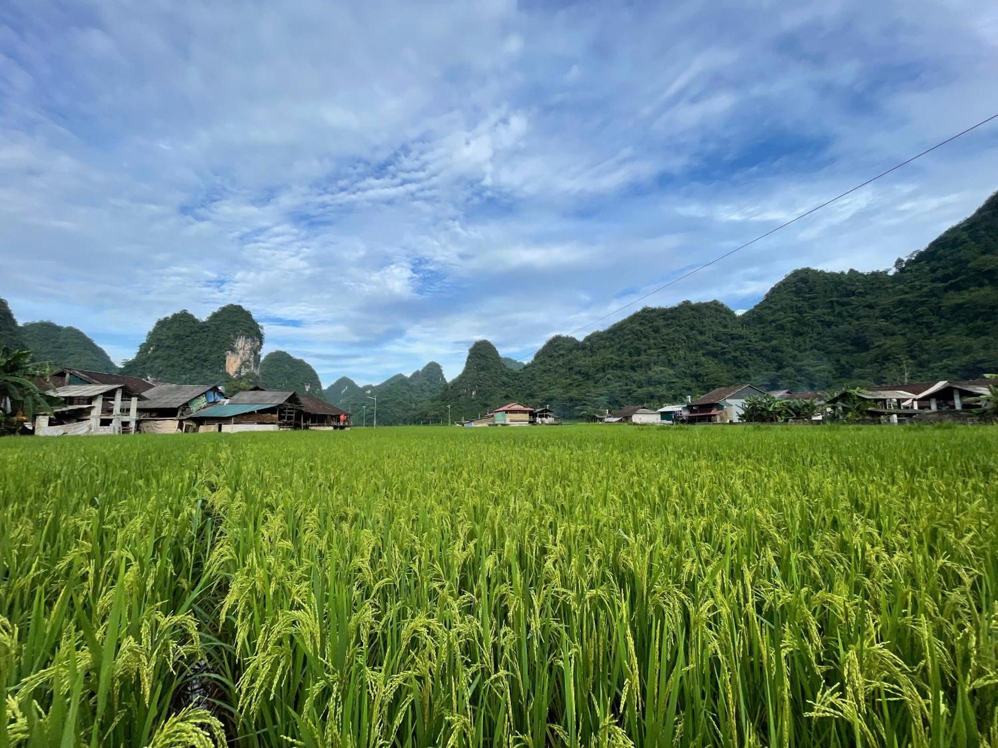 Nung An Homestay Quang Uyen Экстерьер фото