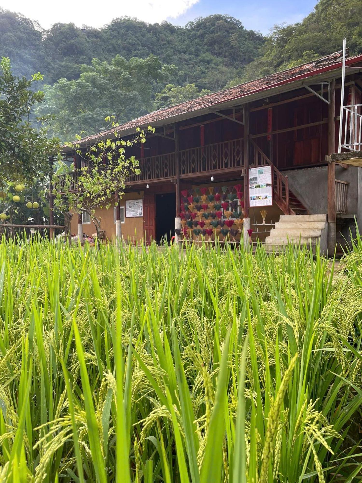 Nung An Homestay Quang Uyen Экстерьер фото