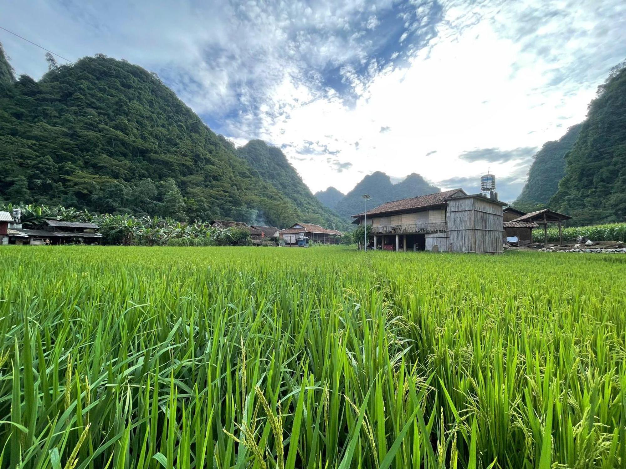 Nung An Homestay Quang Uyen Экстерьер фото